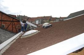 Mise en place d’une toiture verte extensive sur une toiture inclinée de +/-20°