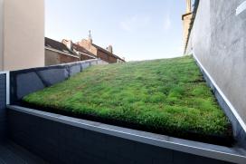 Exemples de végétation sur toitures vertes extensives